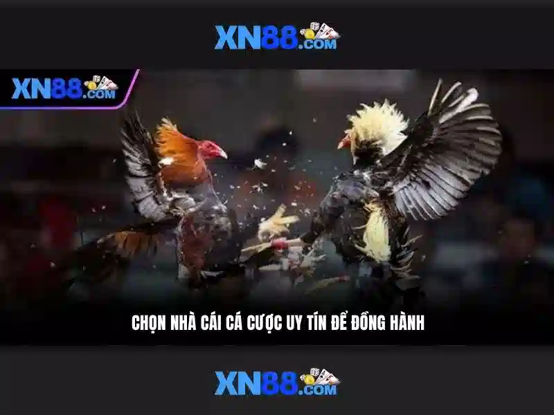 💎keo nhà cái 5.com💎