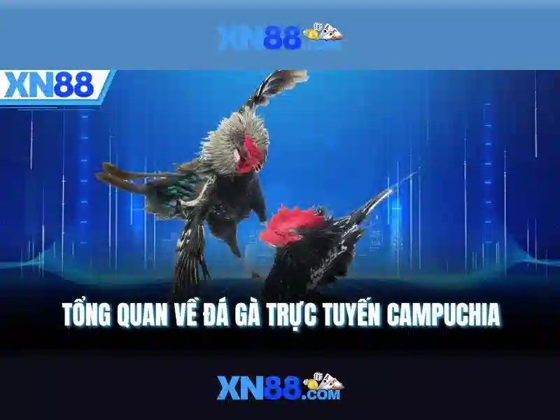 Tải Game Slot XN88 Chơi Thả Ga Trên Điện Thoại - XN88