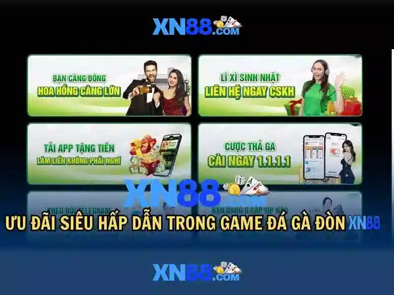 💎nha cai thabet💎