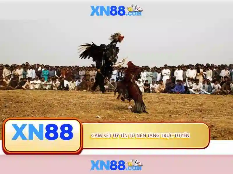 💎888slot slot coaching style💎