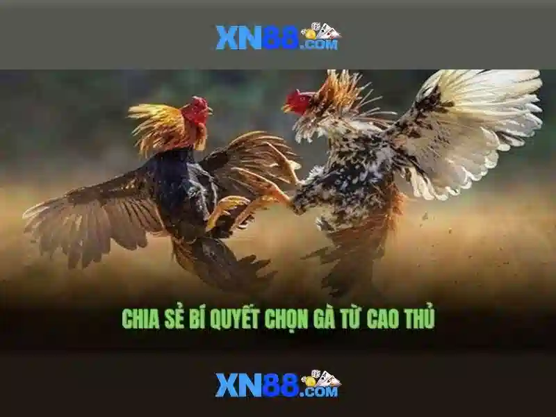 💎777 888 slot live💎