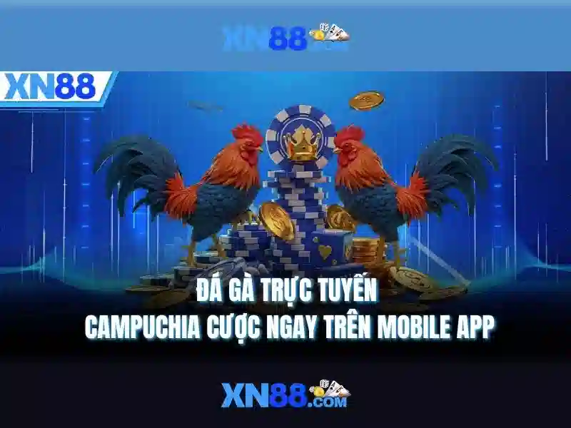 💎cà phơ nhà cải💎