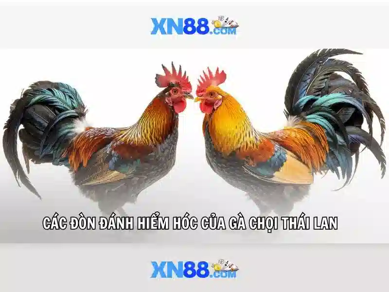 💎nhà cái tặng 58k💎
