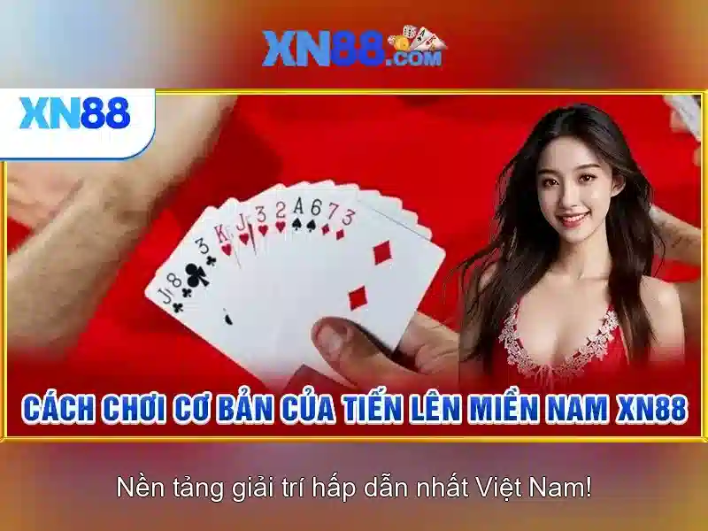 💎wild fury slot💎