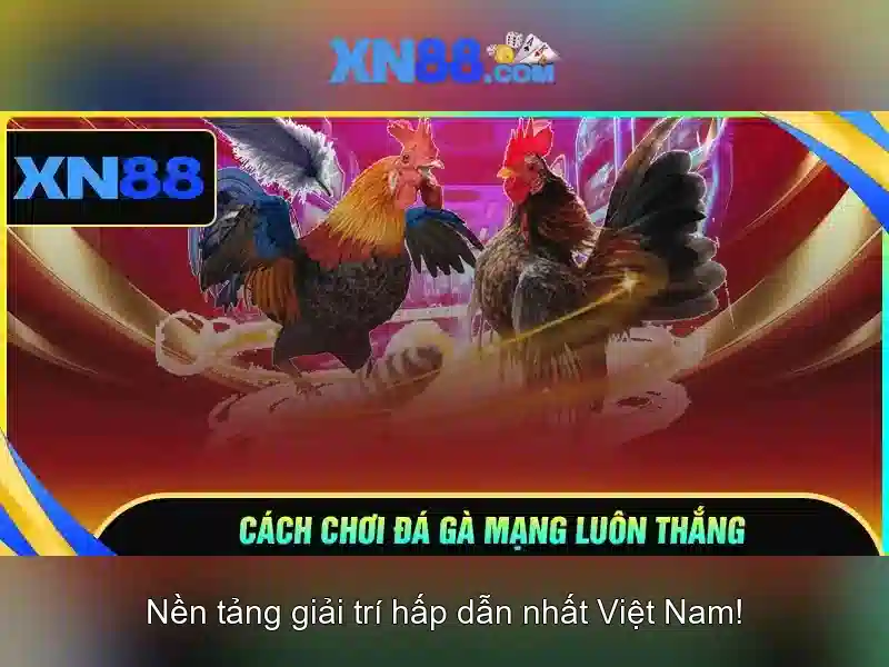 💎nhà cái 12 bét💎