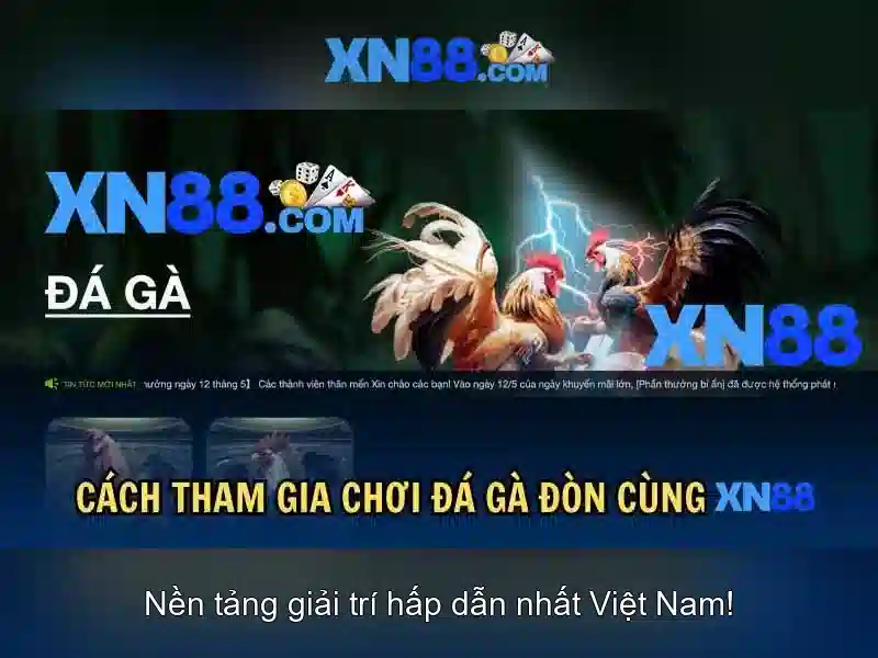 💎vụ đánh bạc nghìn tỷ ở quảng bình💎