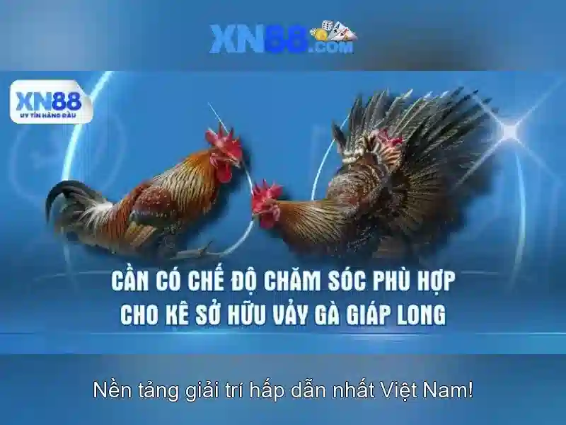 💎nhà hát cải lương trần hữu trang văn 10💎