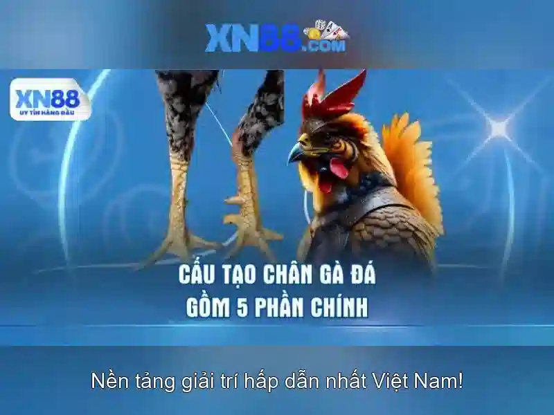 💎nhà cái uy tín sô1💎