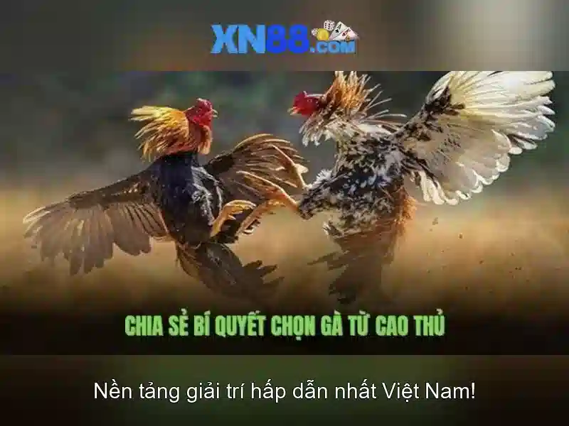 💎sông nào chảy hướng tây bắc đông nam💎