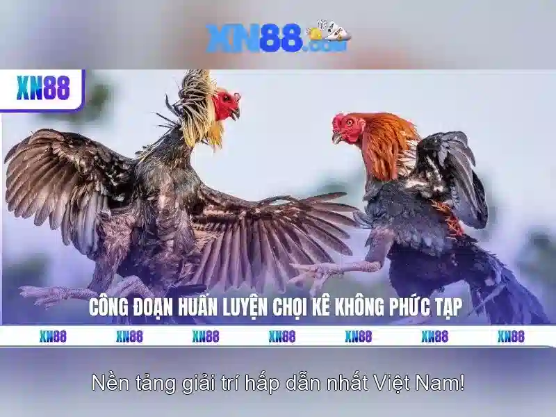💎avatar slots💎