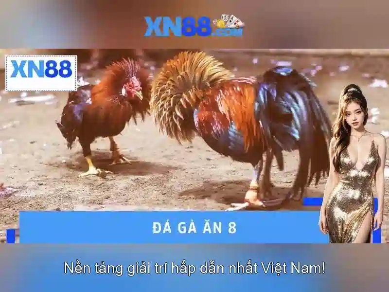 💎tỷ lệ cá cuoc bóng đá hôm nay💎
