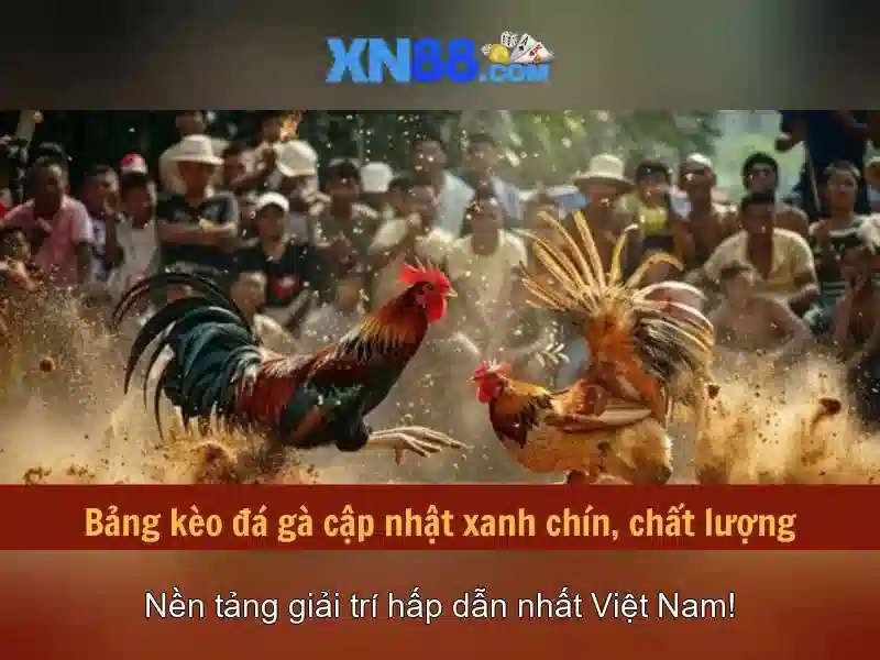 💎sông mây bắc sơn trảng bom đồng nai💎