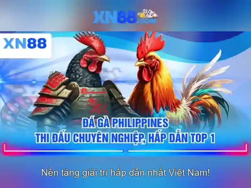 💎66b nguyễn sý sách💎 - hoogoorddreef 66b - 66b giftcode