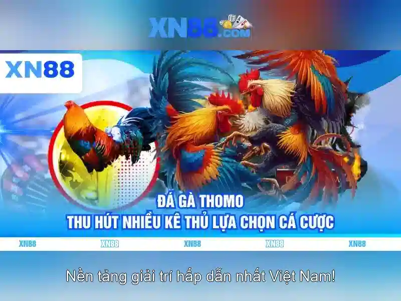 💎john heitinga 888slot slot💎