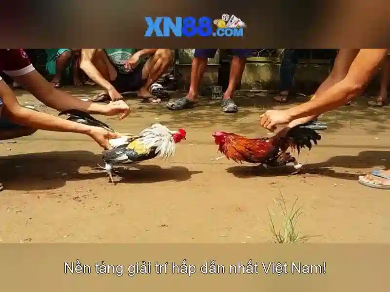 💎xem bong đa trưc tiêp keo nha cai💎