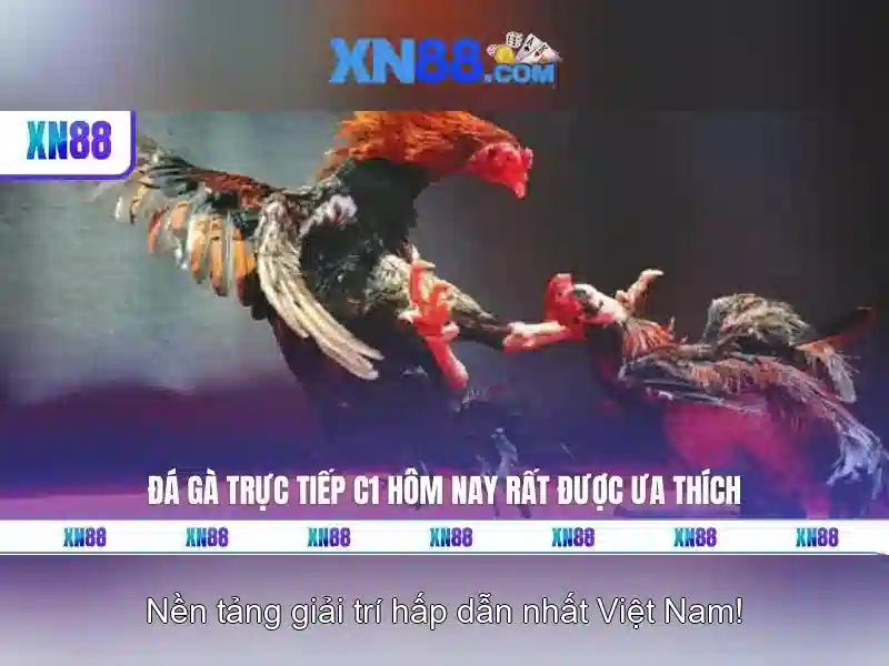 💎66b phan đăng lưu phú nhuận tp hcm💎 - 66b hạ long - slot 66b