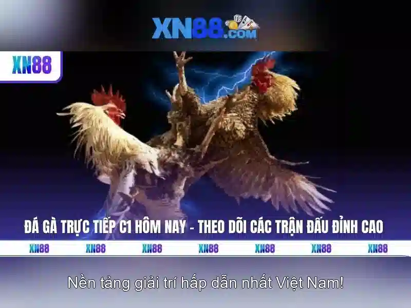💎cuộc chiến ma cà rồng và người sói💎