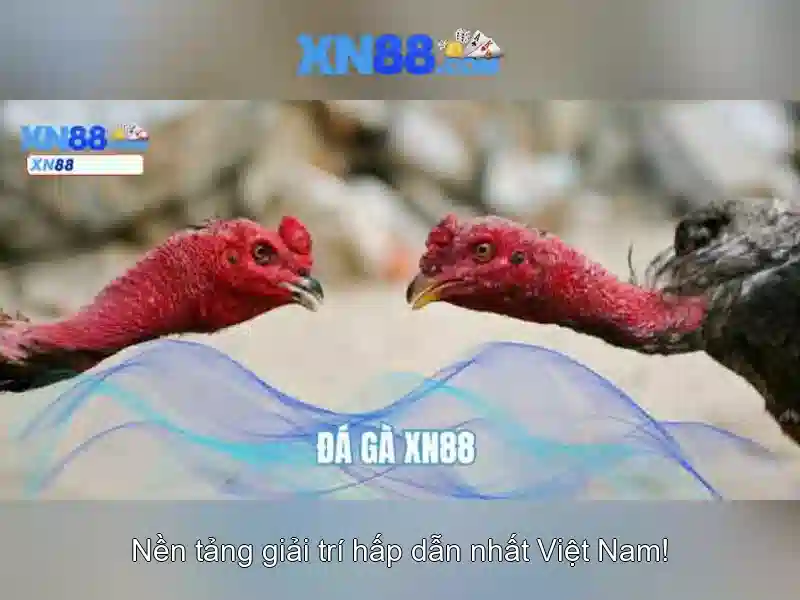 💎hỗ trợ Slot365💎