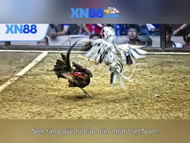 💎888 slot app download latest version💎