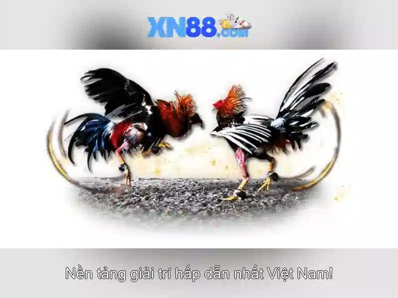 💎www 90 xn88 com login💎