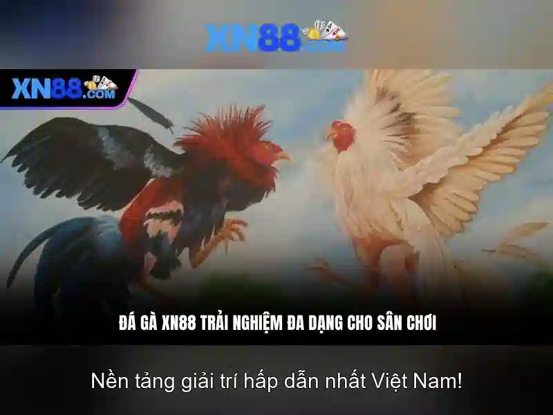 💎188bet-nhà cái hàng đầu châu á💎