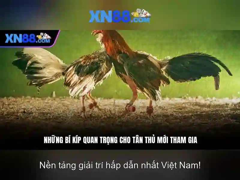 💎địa danh nổi tiếng tây bắc💎