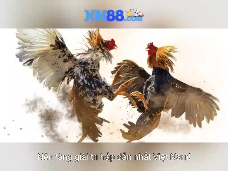 💎bác sĩ danh sơn đồng nai💎