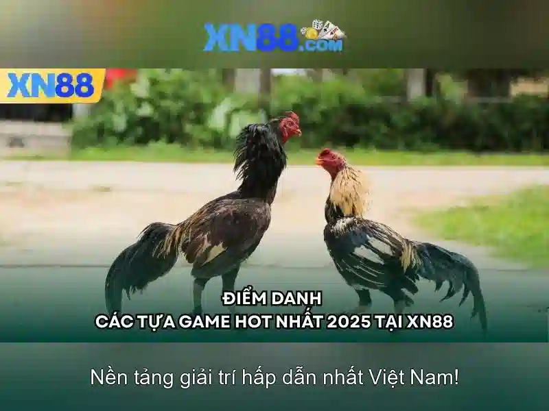 💎vh88 nha cai💎