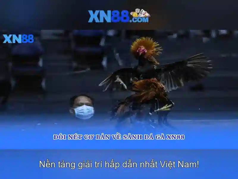 💎nhà cái uy tín top 8 nhà cái uy tín💎