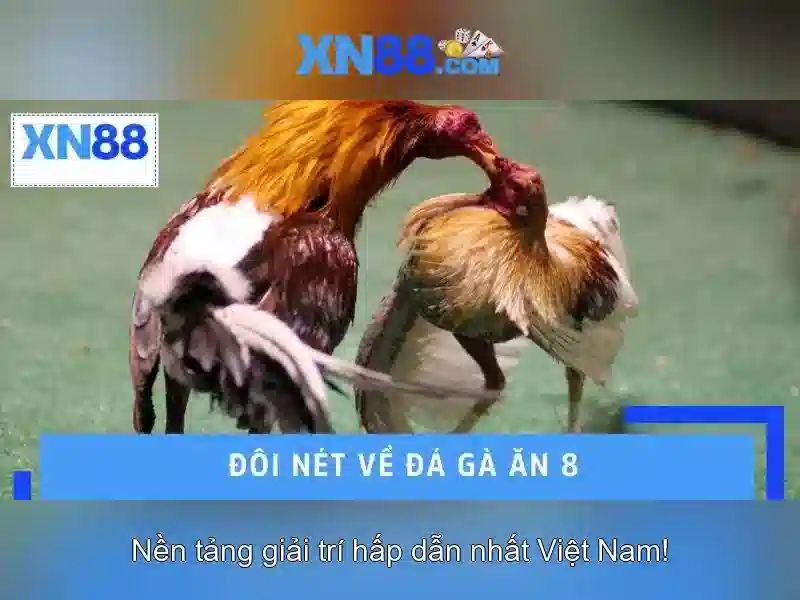 💎mua nhà lào cai💎