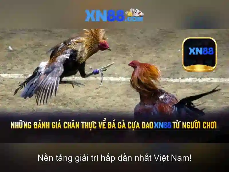 💎all xn88 games💎