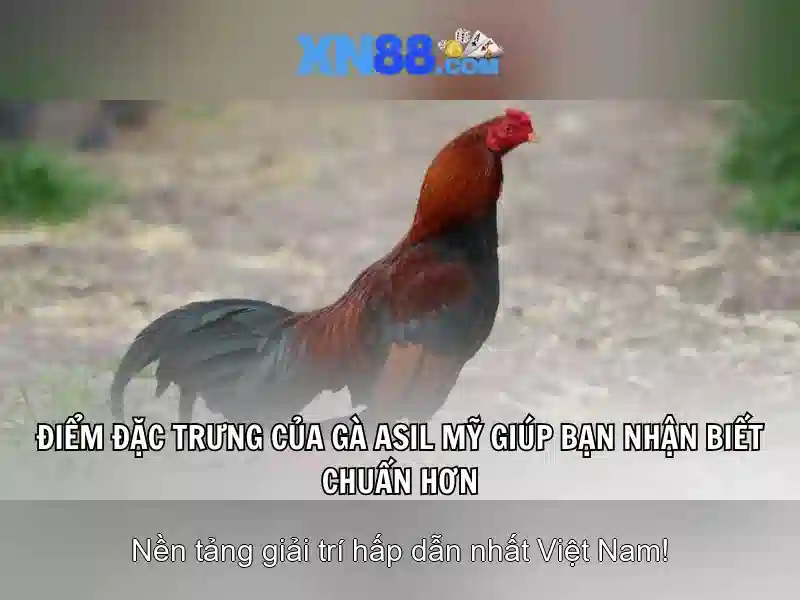 💎777 888slot slots💎