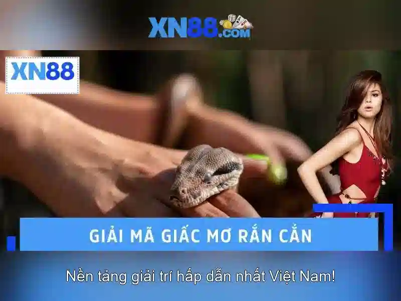 💎ku11bets sòng bạc đáng tin cậy💎