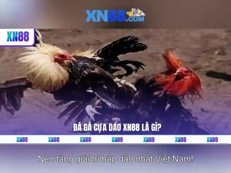 💎febet 2025 nhà cái cá cược thể thao💎