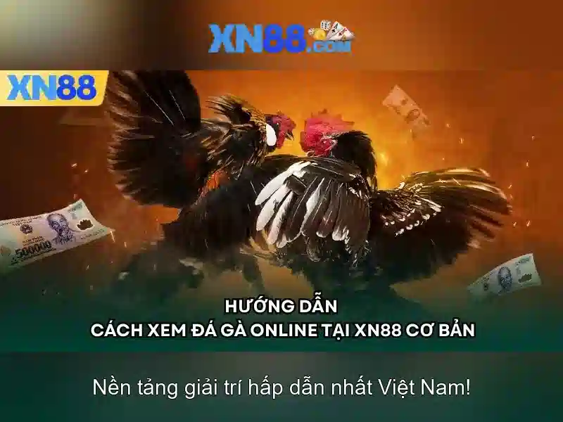 💎nhà cái kv888💎