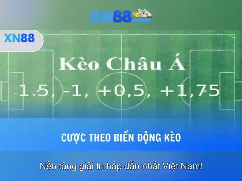 💎cd 66b mouse💎 - kawung+villa+pantai+batu+bolong+no+66b - 336/66b phan văn trị, p11, q.bình thạnh, hcm