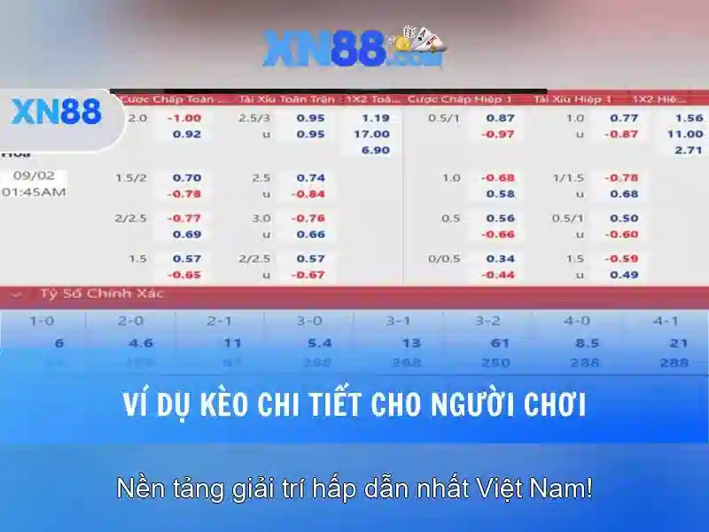 💎danh dự bác trọng💎
