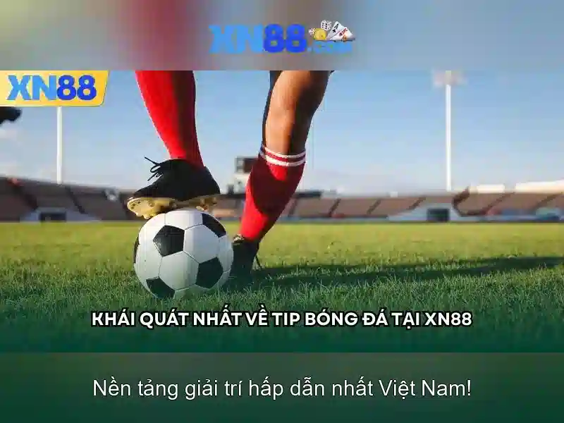 💎keo nha cai video bong da💎