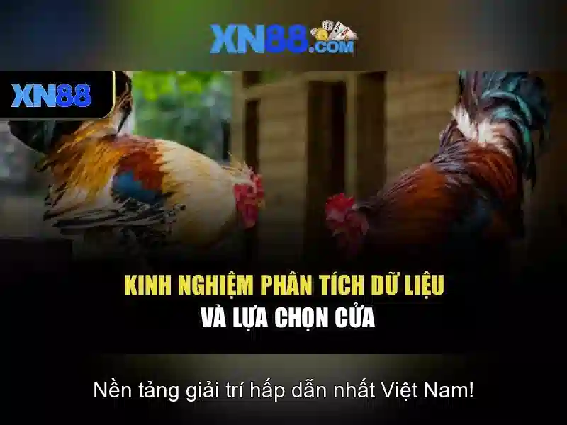 💎xem kèo bóng đá kèo nhà cái💎
