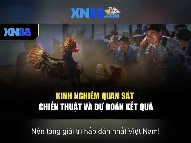 💎kèo nhà cái fcb8💎
