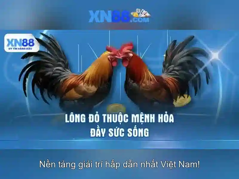 💎anh xin gui lai em voi tat ca cuoc vui💎