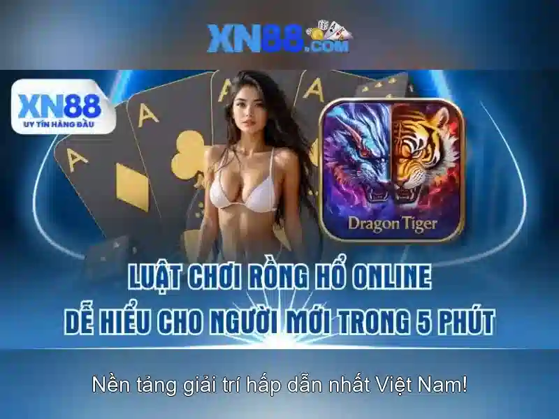 💎slots dreamer no deposit bonus💎