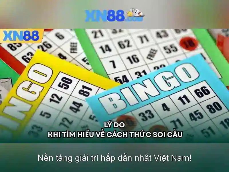 💎bài đánh giá về trường đại học bạc liêu💎