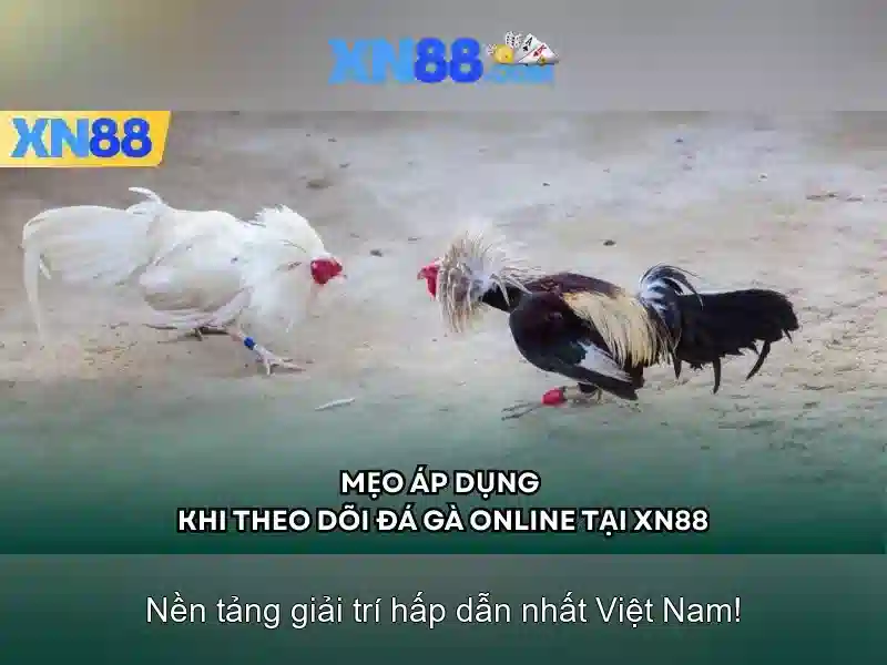 💎tỷ lệ cược kèo nhà cái hôm nay💎