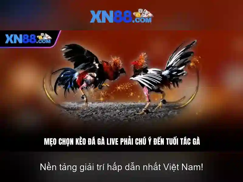 💎lich thi dau euro keo nha cai💎