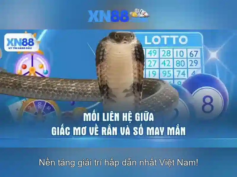 💎dolphin slot free💎