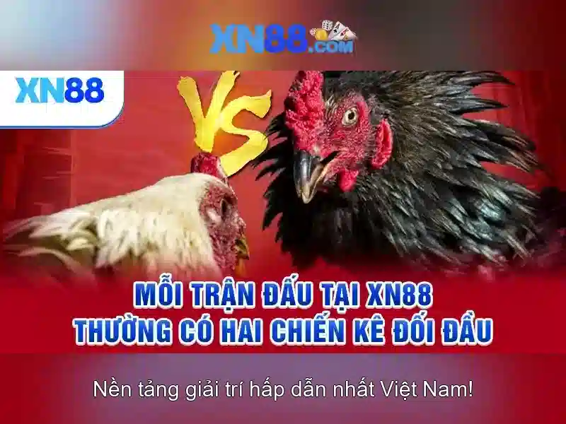 💎xem bóng đá ngoại hạng anh kèo nhà cái💎
