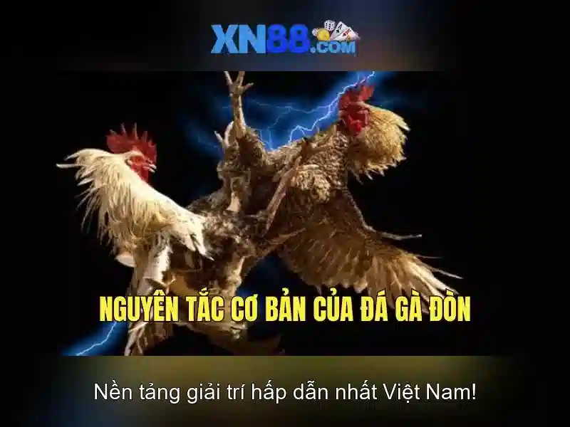 💎trang cá cược bóng đá uy tín gpbnews💎