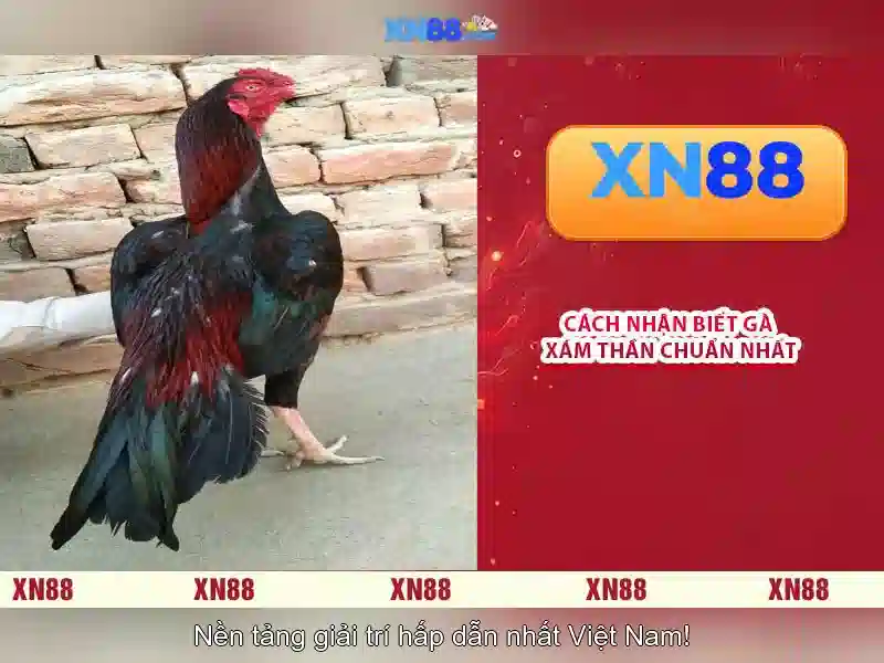 💎555win đăng nhập💎 - link 555win - 555win login