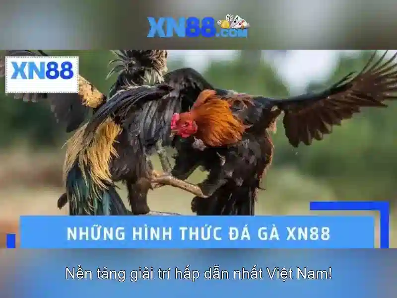 💎18vn nhà cái💎